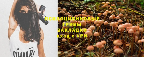 Альфа ПВП Покачи